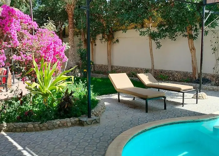 Big Private For Families Tatil Evi